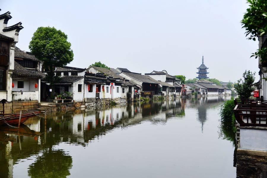 柯基换主人后老是不开心怎么回事?-全面解答你的疑问